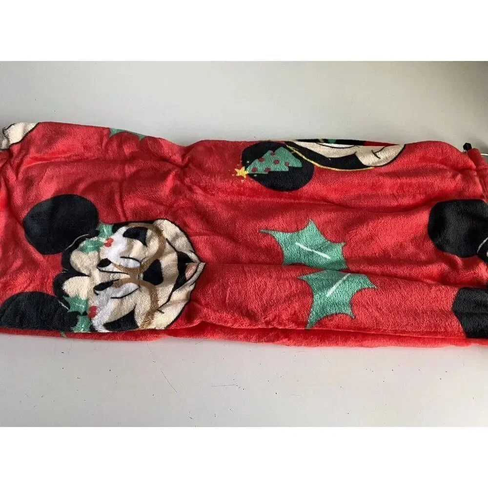 Jay Franco and Sons, Inc. disney mickey